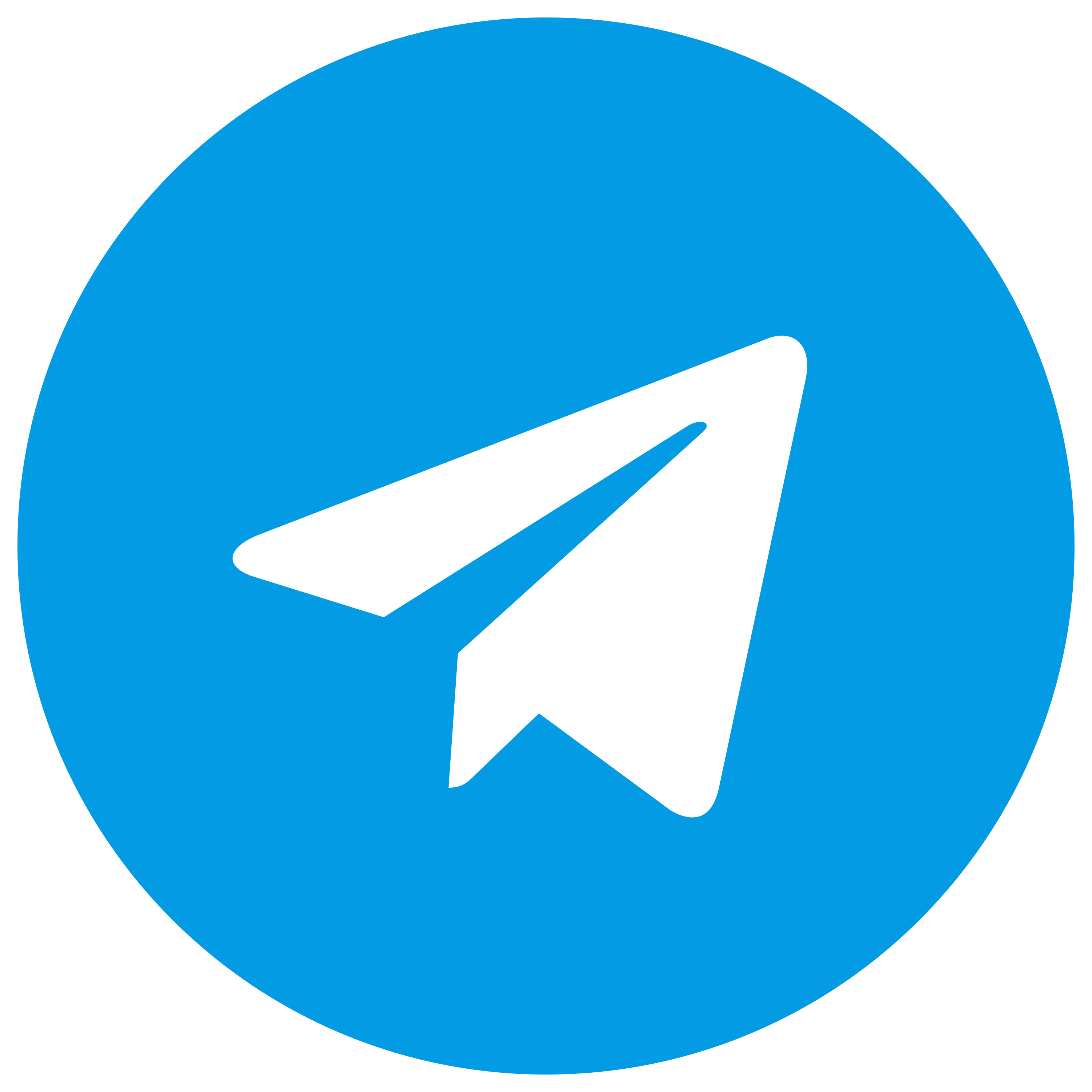 list item image